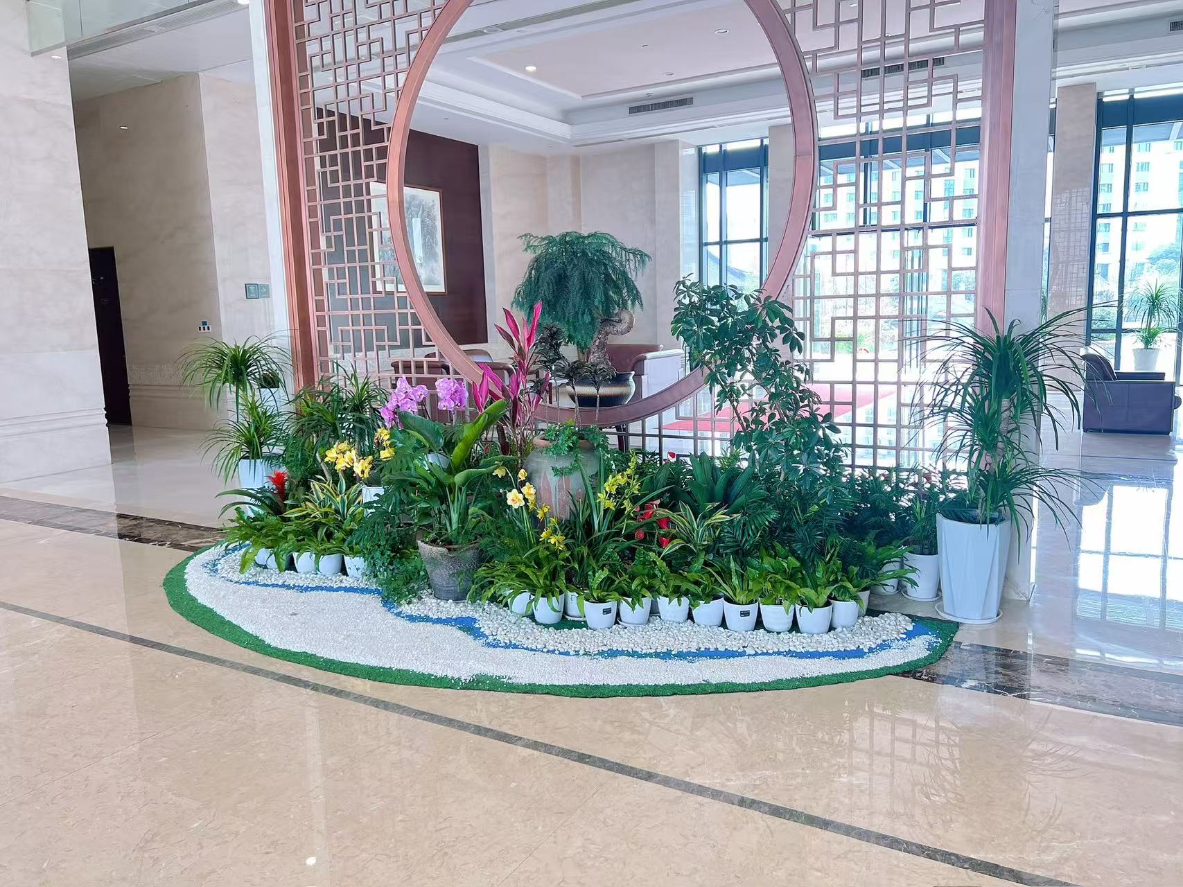 惊！宁波镇海花木租赁价格竟然是这样